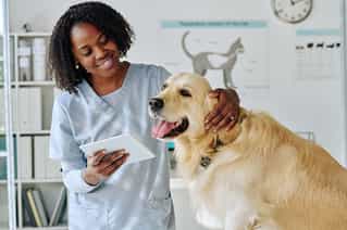 veterinary-care-technology